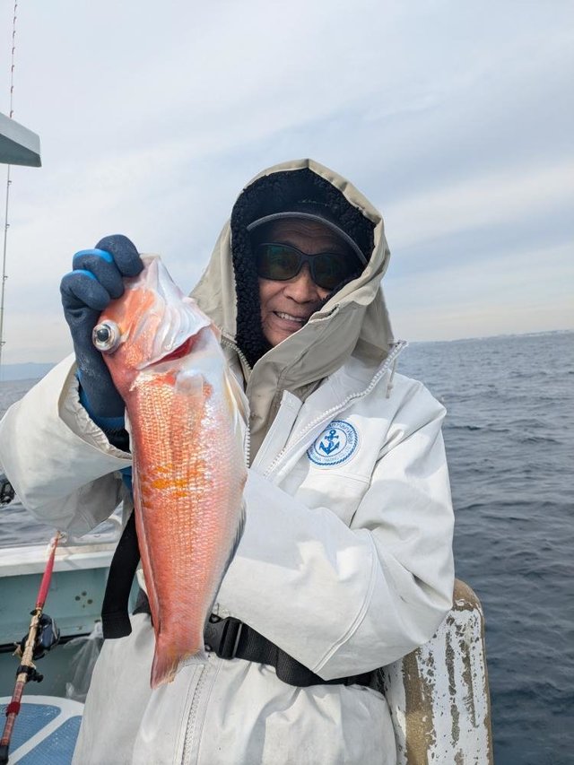 アマダイ(アカアマダイ)