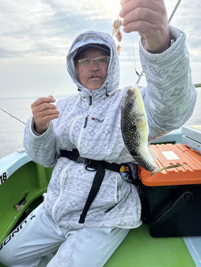 フグ(ショウサイフグ)