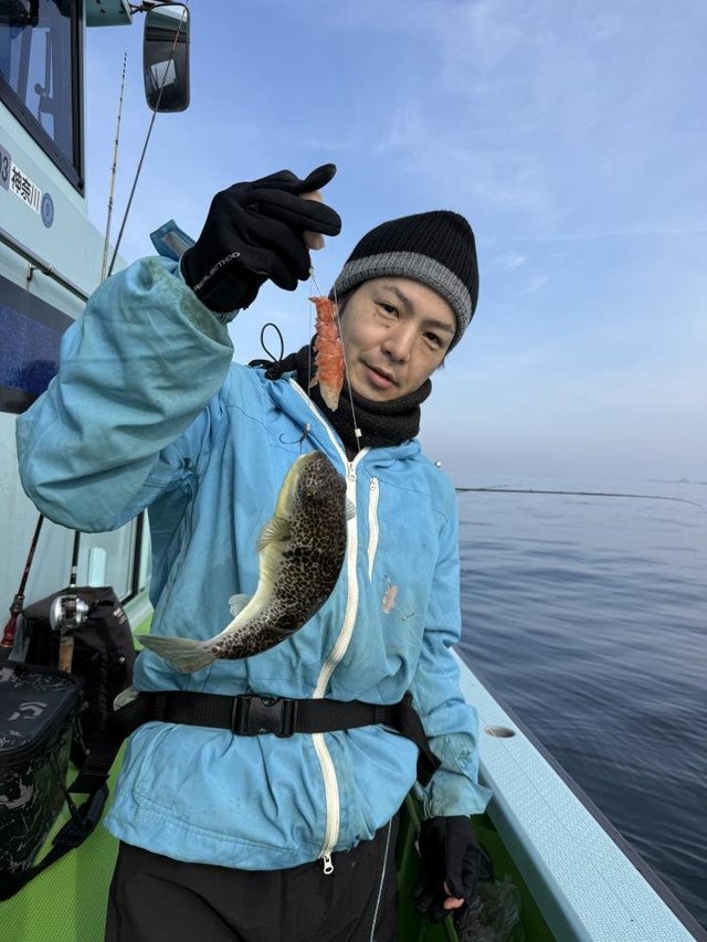 フグ(ショウサイフグ)