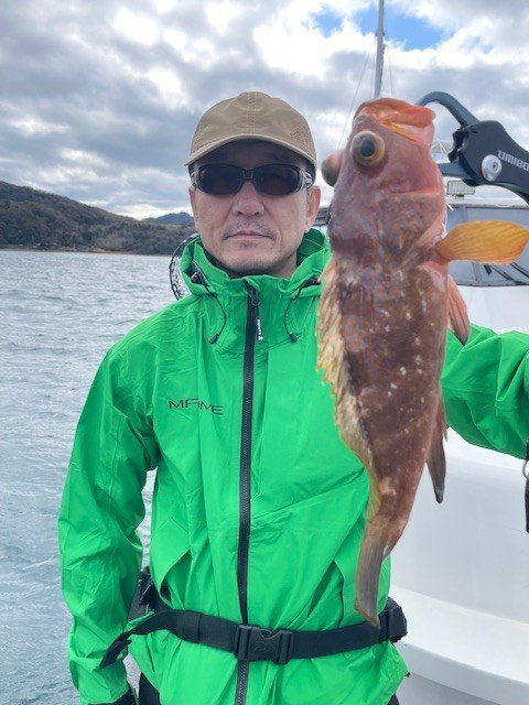 アコウ(キジハタ)