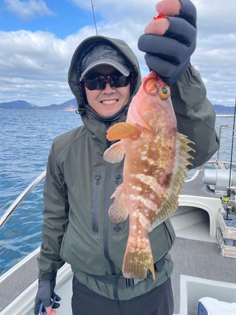 アコウ(キジハタ)