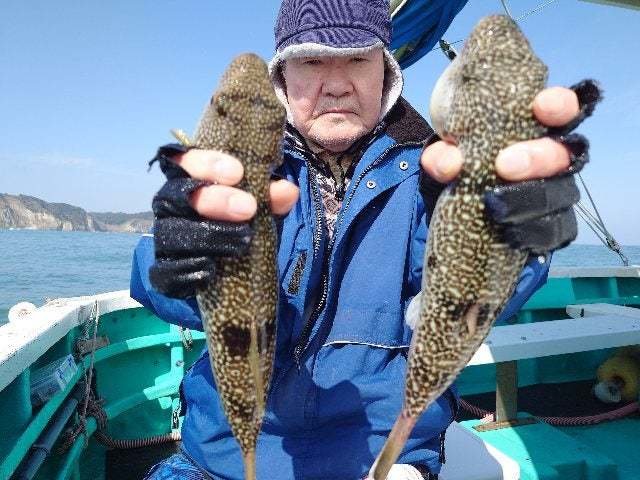 ショウサイフグ