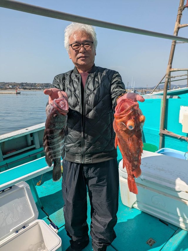 カンコ(ウッカリカサゴ)