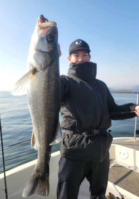 シーバス(スズキ)