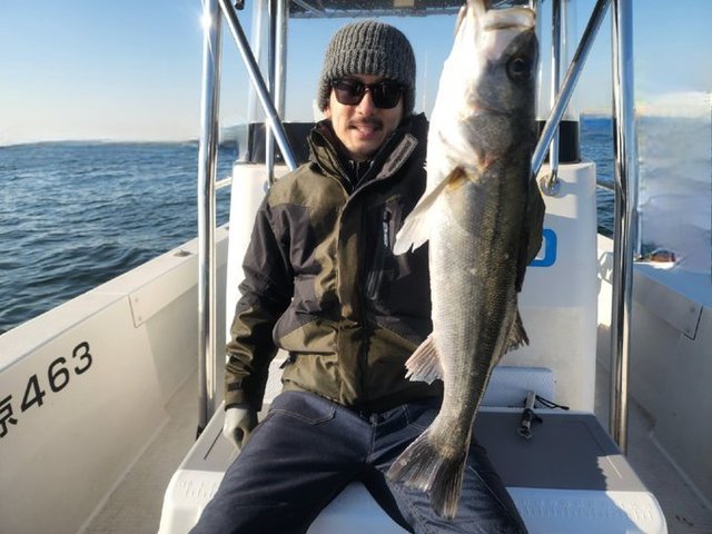 シーバス(スズキ)