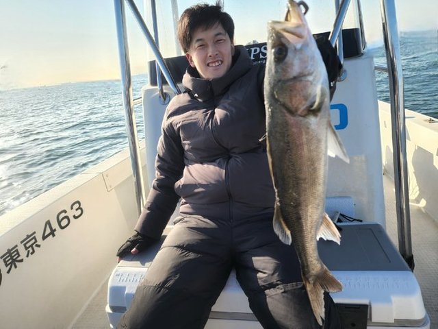 シーバス(スズキ)