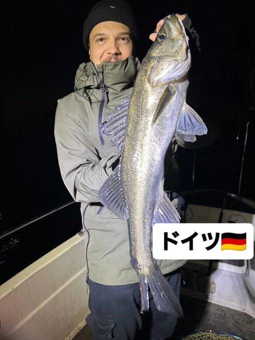 シーバス(スズキ)