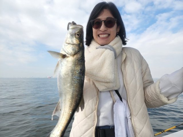 シーバス(スズキ)