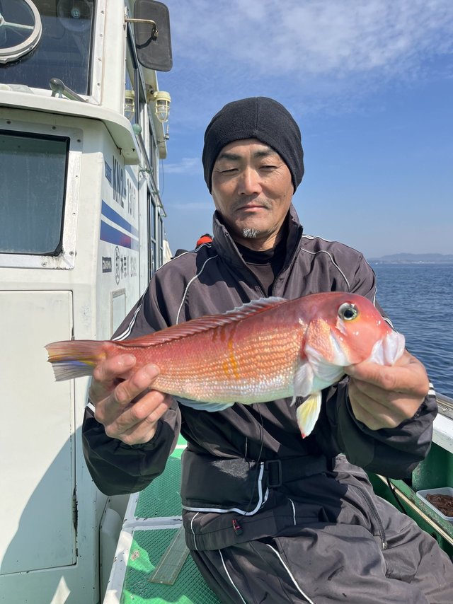 アマダイ(アカアマダイ)