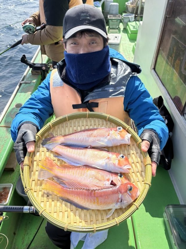 アマダイ(アカアマダイ)