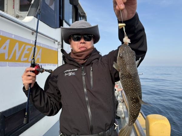 ショウサイフグ