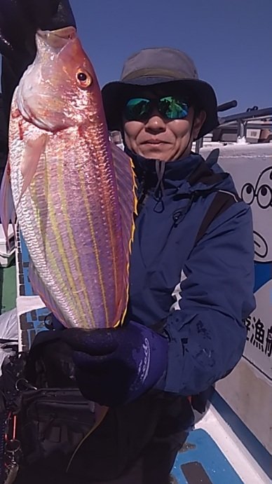 イトヨリ(イトヨリダイ)