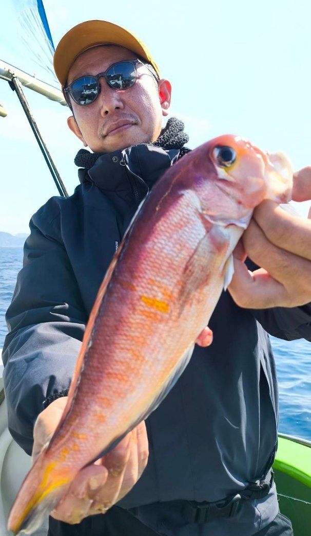 アマダイ(アカアマダイ)