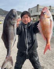 マダイ・メダイ