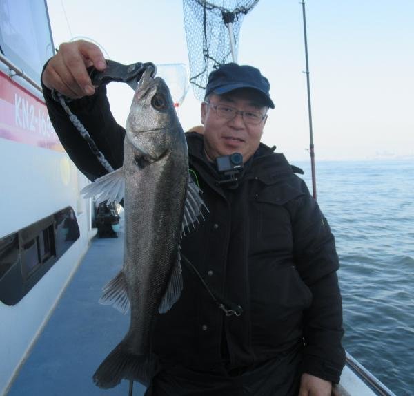 シーバス(スズキ)