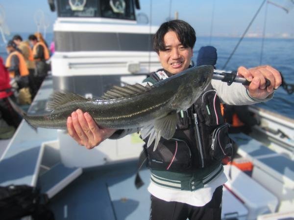 シーバス(スズキ)