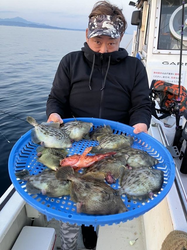 カサゴ・カワハギ