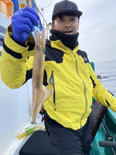 スルメ(スルメイカ)