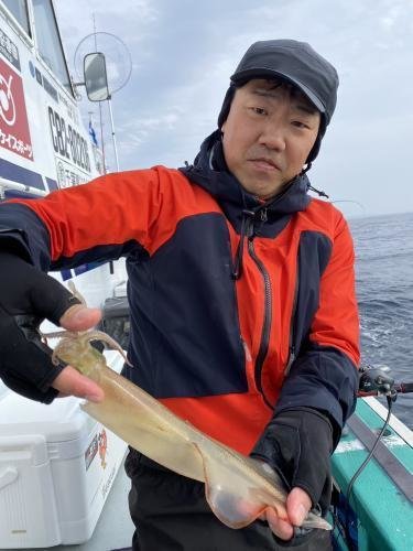 スルメ(スルメイカ)