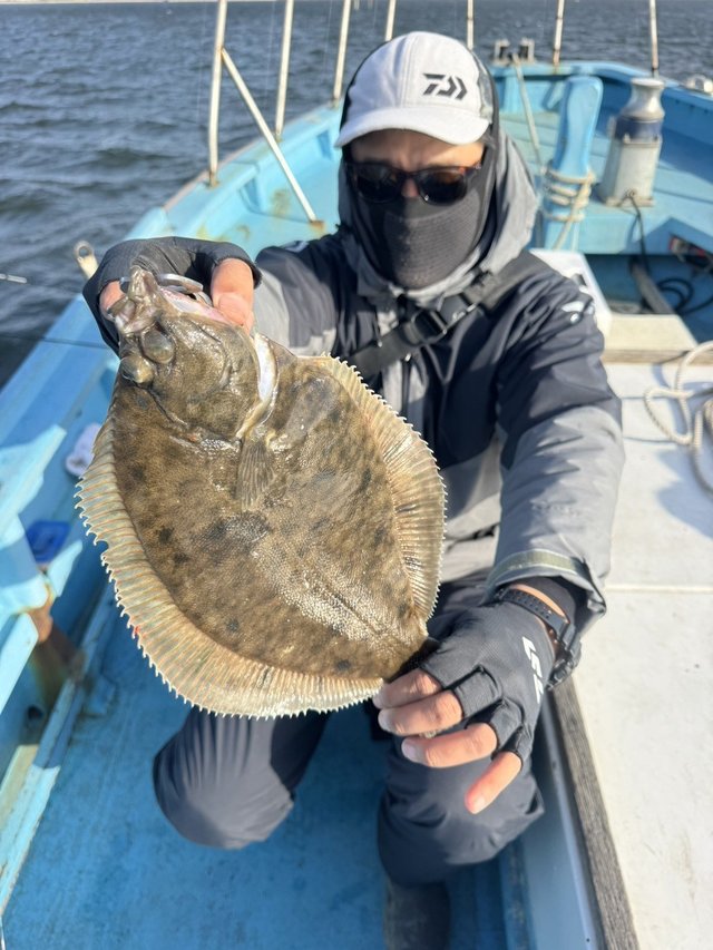 カレイ(マコガレイ)