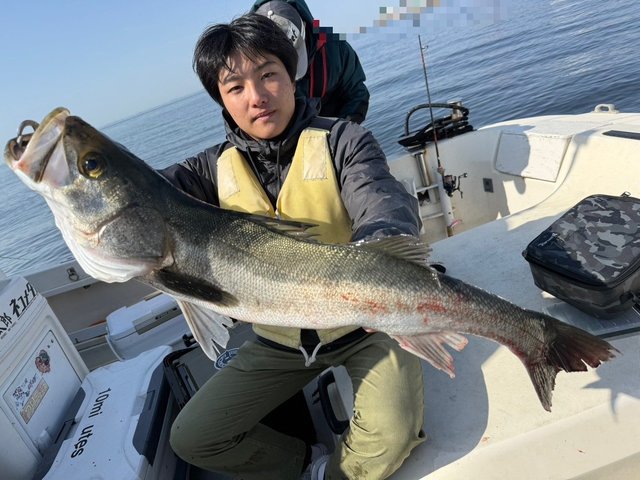 シーバス(スズキ)