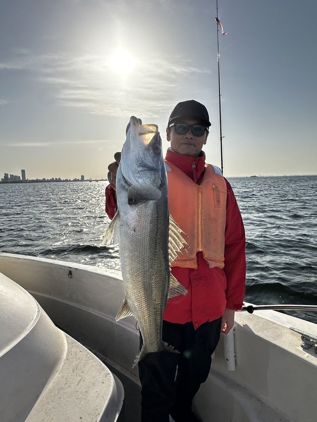 シーバス(スズキ)