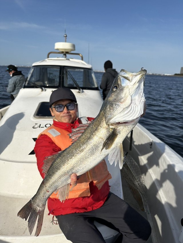 シーバス(スズキ)