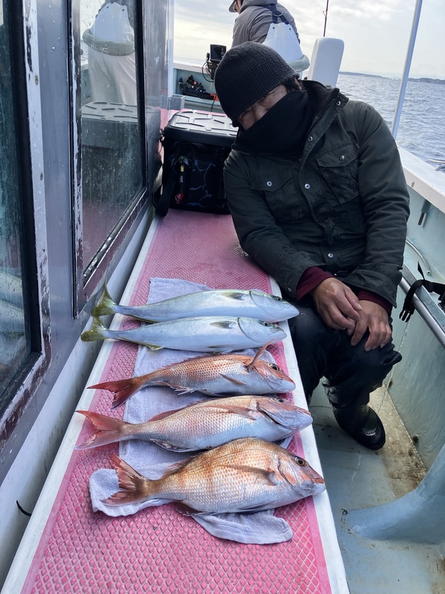 マダイ・イナダ(ブリ)