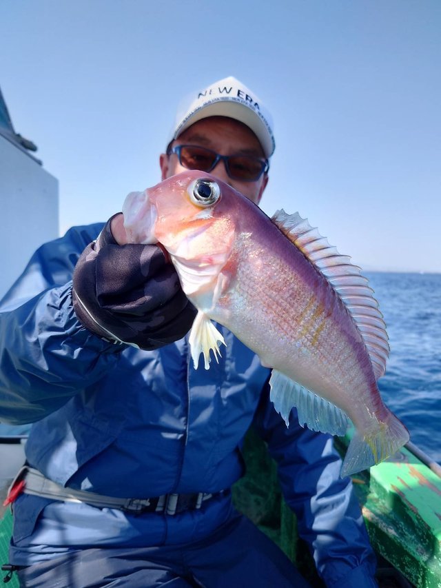 アマダイ(アカアマダイ)