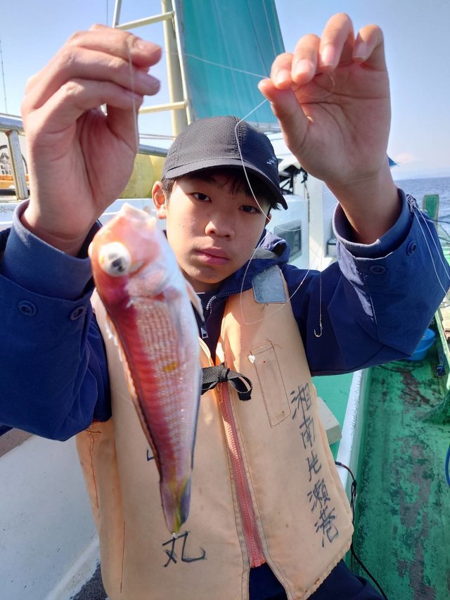 アマダイ(アカアマダイ)