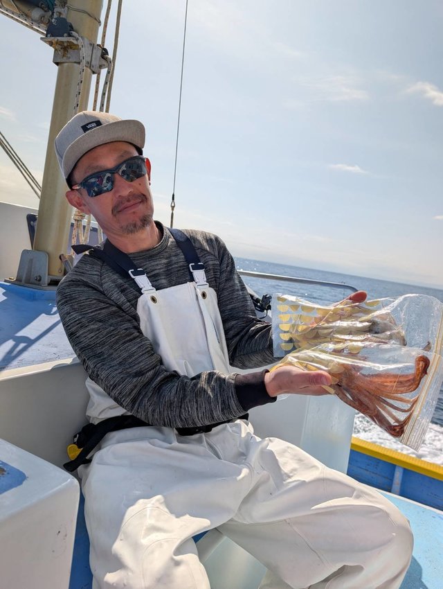 スルメ(スルメイカ)