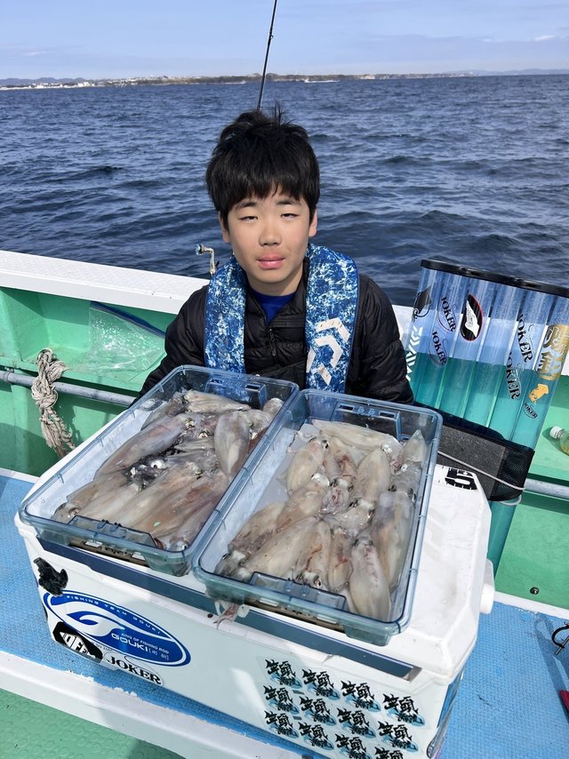 マルイカ(ケンサキイカ)