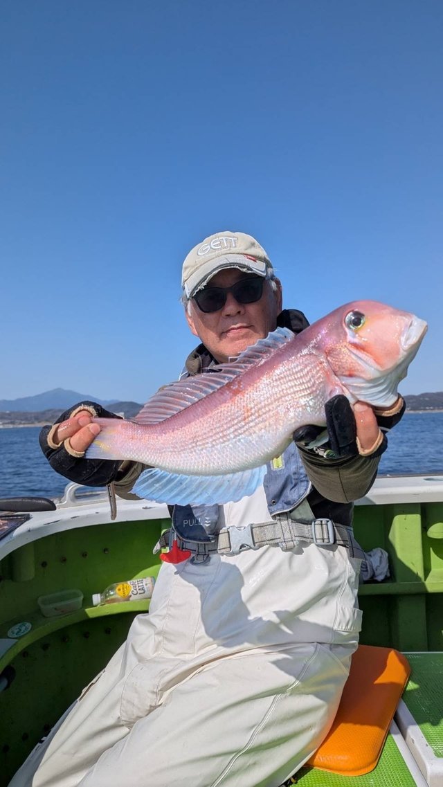 アマダイ(アカアマダイ)