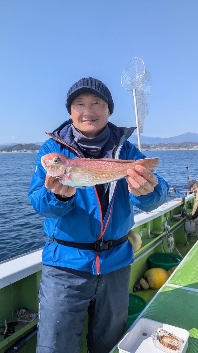 アマダイ(アカアマダイ)