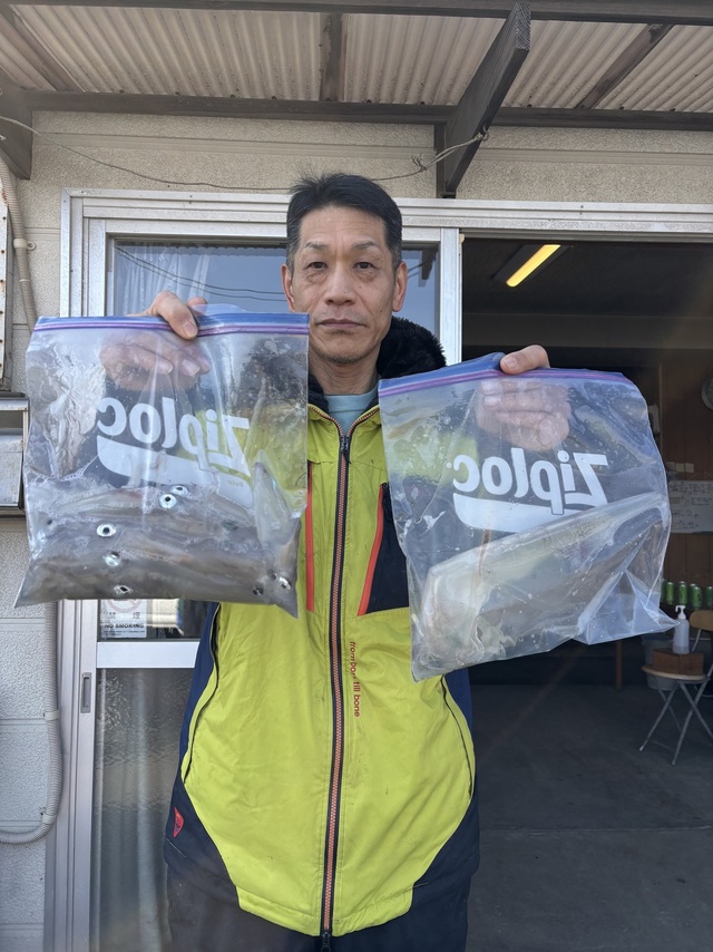 マルイカ(ケンサキイカ)