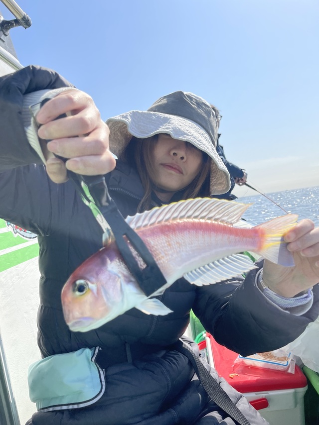 アマダイ(アカアマダイ)