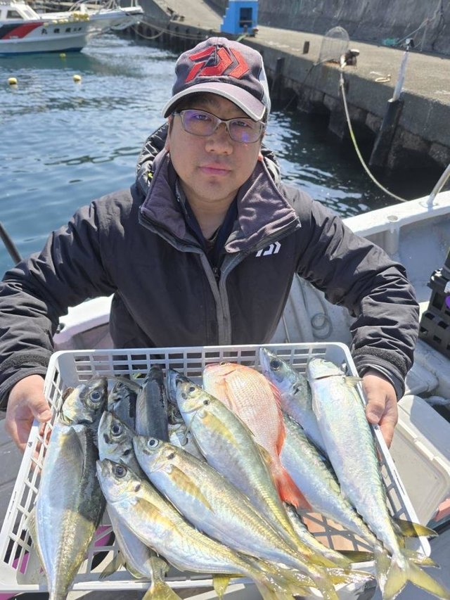 マダイ・アジ(マアジ)