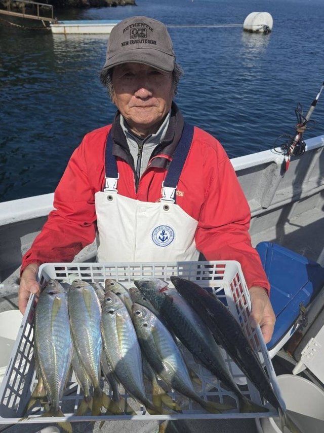 アジ(マアジ)・サバ(ゴマサバ)