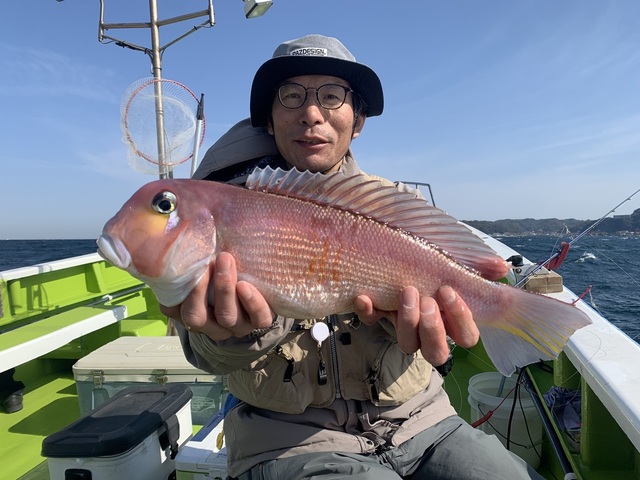 アマダイ(アカアマダイ)