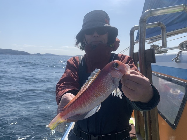 アマダイ(アカアマダイ)