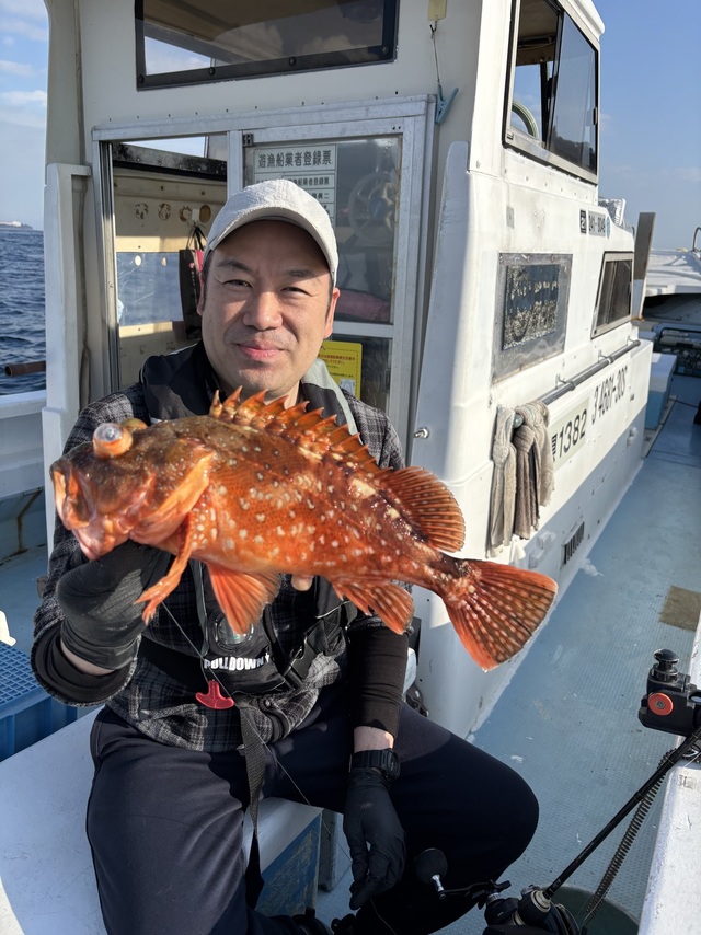 カンコ(ウッカリカサゴ)