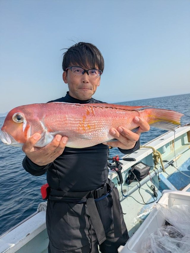 アマダイ(アカアマダイ)