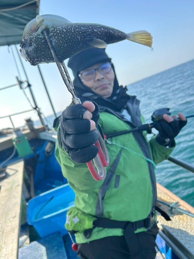 ショウサイフグ