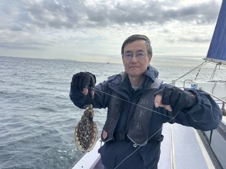 スミイカ(コウイカ)