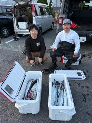 サゴシ(サワラ)・ヤナギ(ウスメバル)