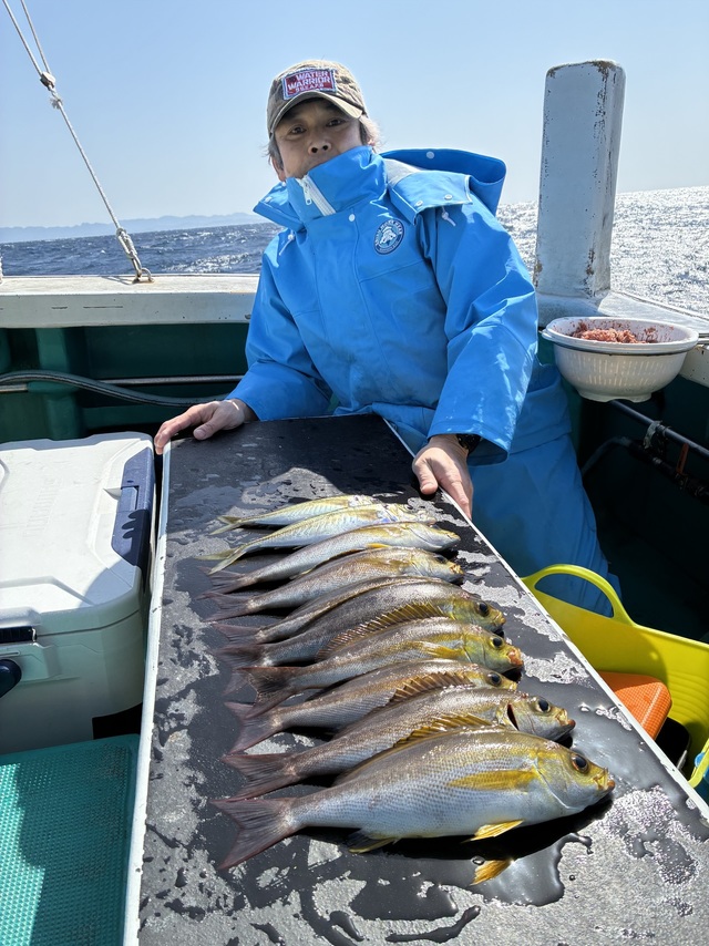 マアジ・イサギ(イサキ)