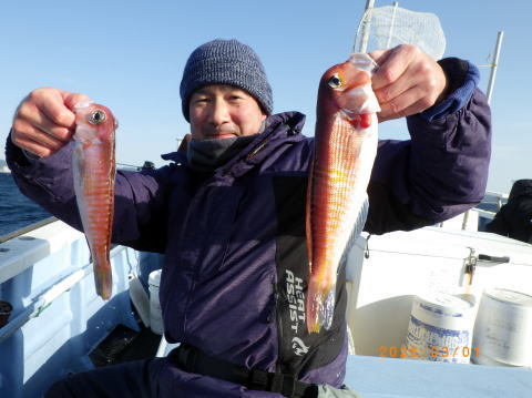 アマダイ(アカアマダイ)