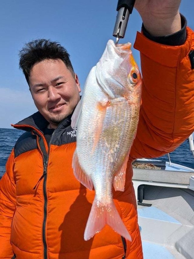 レンコダイ(キダイ)