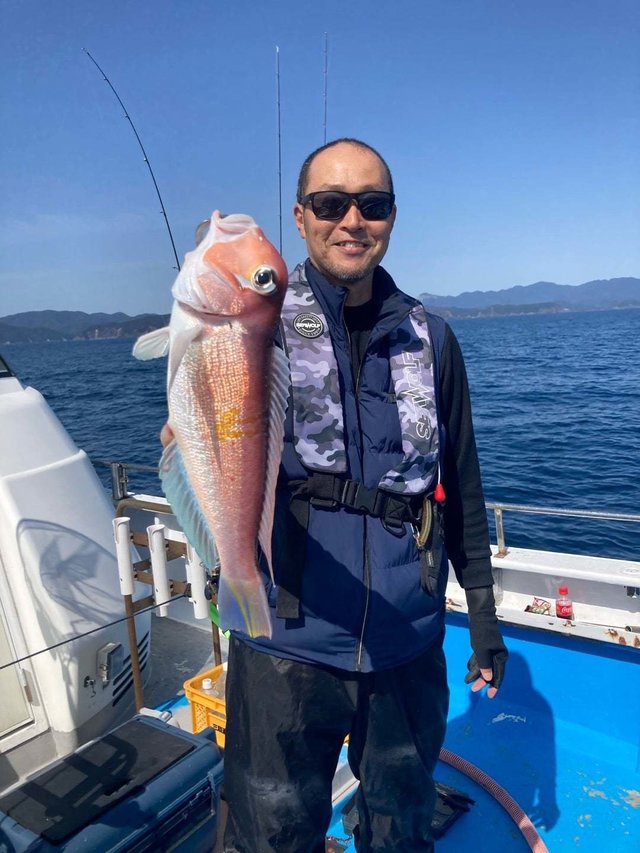 アマダイ(アカアマダイ)