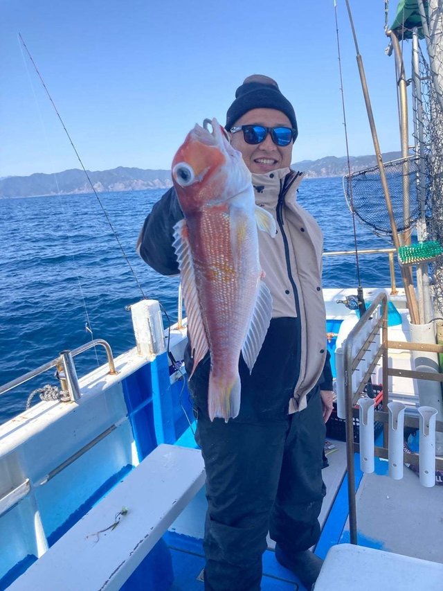 アマダイ(アカアマダイ)